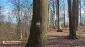 IMG_20240315_125113_595.jpg