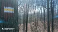 IMG_20240315_125620_321.jpg