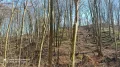 IMG_20240315_132635_484.jpg
