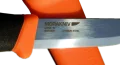 1000405h.png