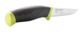 1000414P.png