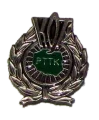 1001121dsr.png