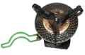 1000620F.png